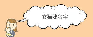 /nameask/36146.html
