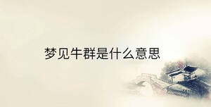 /nameask/36397.html
