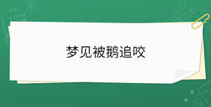/nameask/36486.html