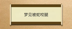 /nameask/36482.html