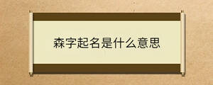 /nameask/36513.html