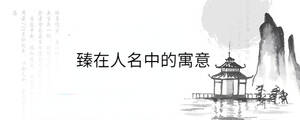 /nameask/36552.html