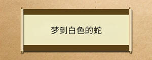 /nameask/36717.html