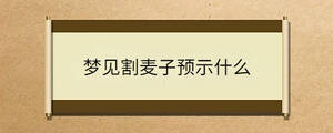 /nameask/36737.html
