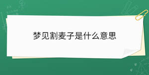 /nameask/36736.html