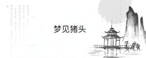梦见猪头