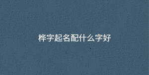 桦字起名配什么字好