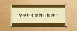 梦见抓小偷并且抓住了