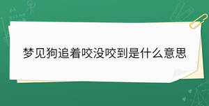 梦见狗追着咬没咬到是什么意思
