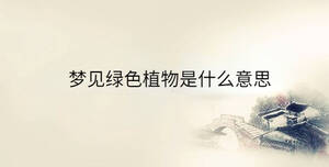 传统 - 2023-05-15T103801.485.jpg