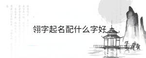 翎字起名配什么字好