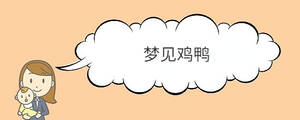 梦见鸡鸭