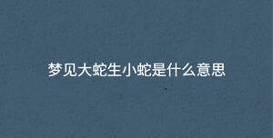 梦见大蛇生小蛇是什么意思