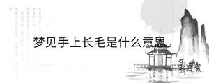 梦见手上长毛是什么意思