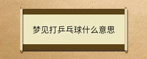 梦见打乒乓球什么意思