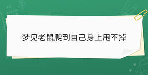 梦见老鼠爬到自己身上甩不掉