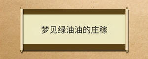 梦见绿油油的庄稼