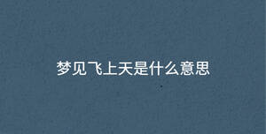梦见飞上天是什么意思