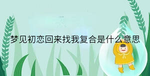 梦见初恋回来找我复合是什么意思