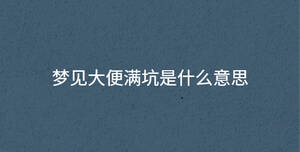梦见大便满坑是什么意思