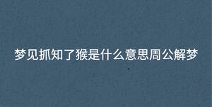 梦见抓知了猴是什么意思周公解梦