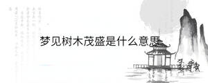 背景图 - 2023-06-14T155804.793.jpg