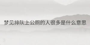 梦见排队上公厕的人很多是什么意思