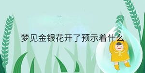 梦见金银花开了预示着什么