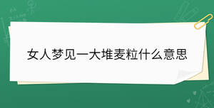 女人梦见一大堆麦粒什么意思