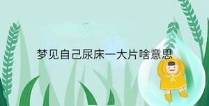 梦见自己尿床一大片啥意思
