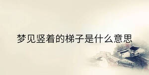传统 - 2023-06-29T132217.771.jpg