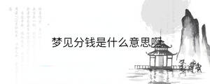 梦见分钱是什么意思啊