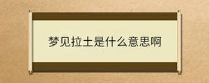 梦见拉土是什么意思啊