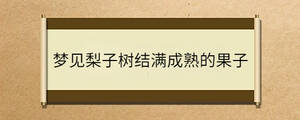 梦见梨子树结满成熟的果子