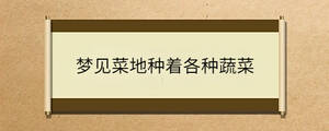/nameask/39335.html