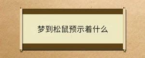 梦到松鼠预示着什么