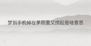 梦到手机掉在茅厕里又捞起是啥意思