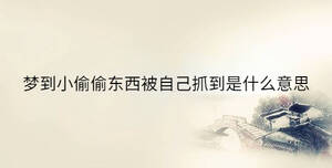 梦到小偷偷东西被自己抓到是什么意思