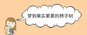 梦到果实累累的柿子树