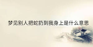 传统 - 2023-07-27T110643.851.jpg