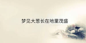 梦见大葱长在地里茂盛