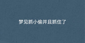 梦见抓小偷并且抓住了