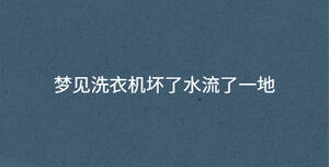 梦见洗衣机坏了水流了一地