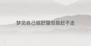 简单 - 2023-08-04T154130.231.jpg