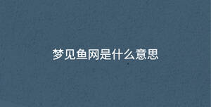 梦见鱼网是什么意思