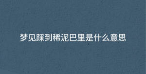 梦见踩到稀泥巴里是什么意思