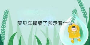 梦见车撞墙了预示着什么