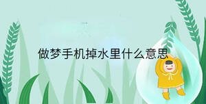 做梦手机掉水里什么意思