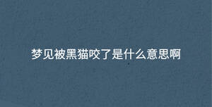 梦见被黑猫咬了是什么意思啊