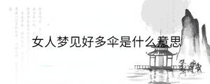 背景图 - 2023-08-15T140754.646.jpg